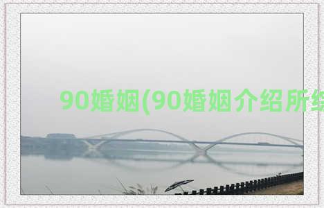 90婚姻(90婚姻介绍所综艺)