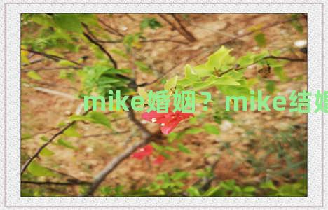 mike婚姻？mike结婚没