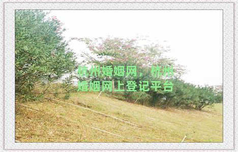 杭州婚姻网，杭州婚姻网上登记平台